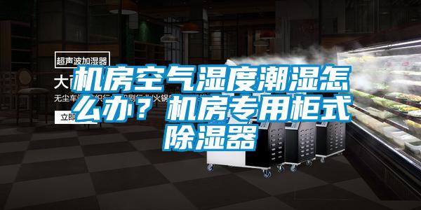 機房空氣濕度潮濕怎么辦？機房專用柜式除濕器