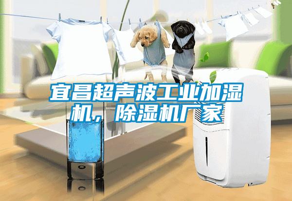宜昌超聲波工業(yè)加濕機(jī)，除濕機(jī)廠家