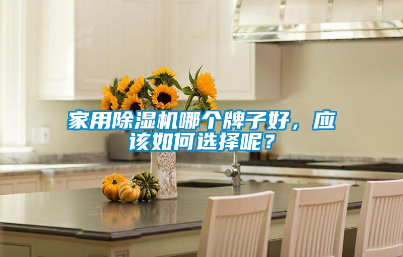 家用除濕機哪個牌子好，應該如何選擇呢？