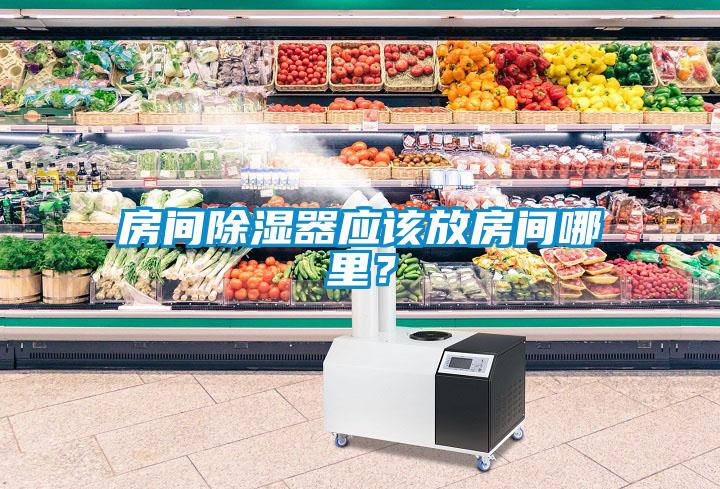 房間除濕器應(yīng)該放房間哪里？