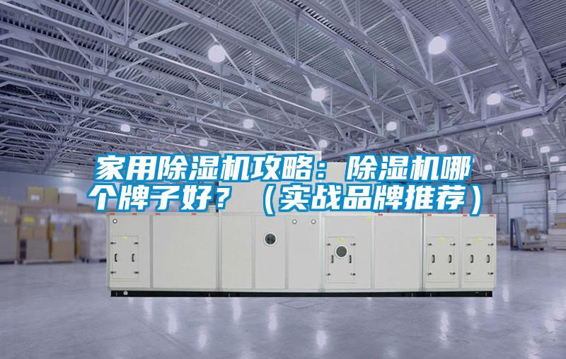 家用除濕機攻略：除濕機哪個牌子好？（實戰(zhàn)品牌推薦）