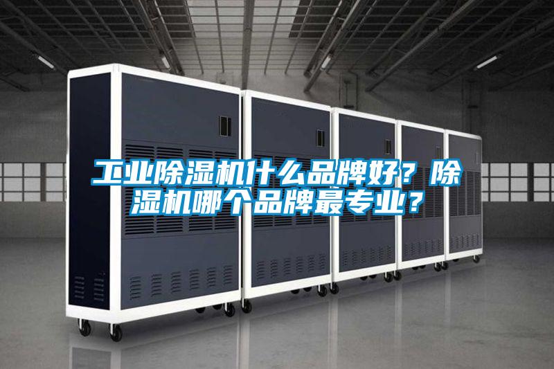工業(yè)除濕機(jī)什么品牌好？除濕機(jī)哪個品牌最專業(yè)？