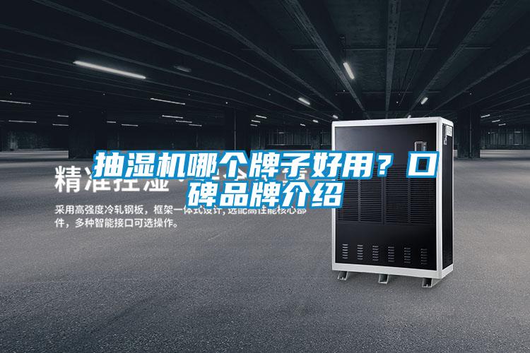 抽濕機哪個牌子好用？口碑品牌介紹