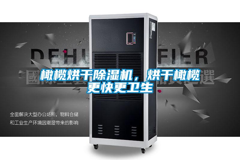 橄欖烘干除濕機(jī)，烘干橄欖更快更衛(wèi)生