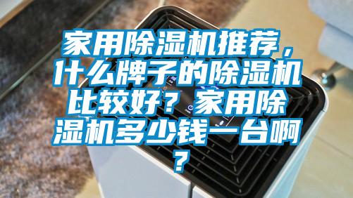 家用除濕機(jī)推薦，什么牌子的除濕機(jī)比較好？家用除濕機(jī)多少錢一臺(tái)??？