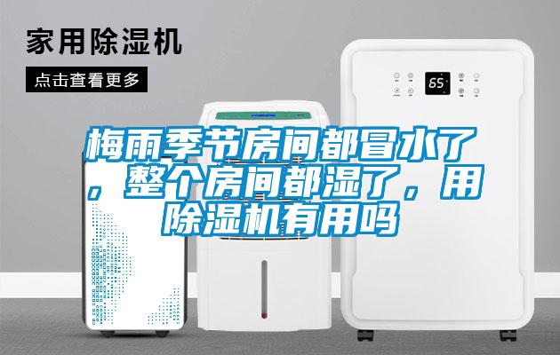 梅雨季節(jié)房間都冒水了，整個房間都濕了，用除濕機有用嗎