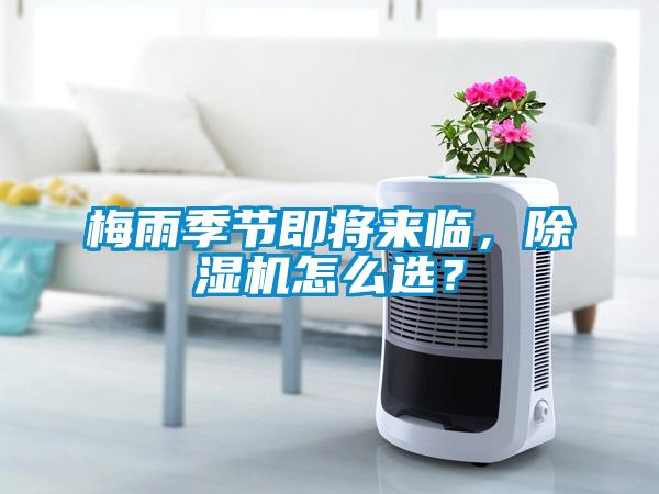 梅雨季節(jié)即將來臨，除濕機怎么選？