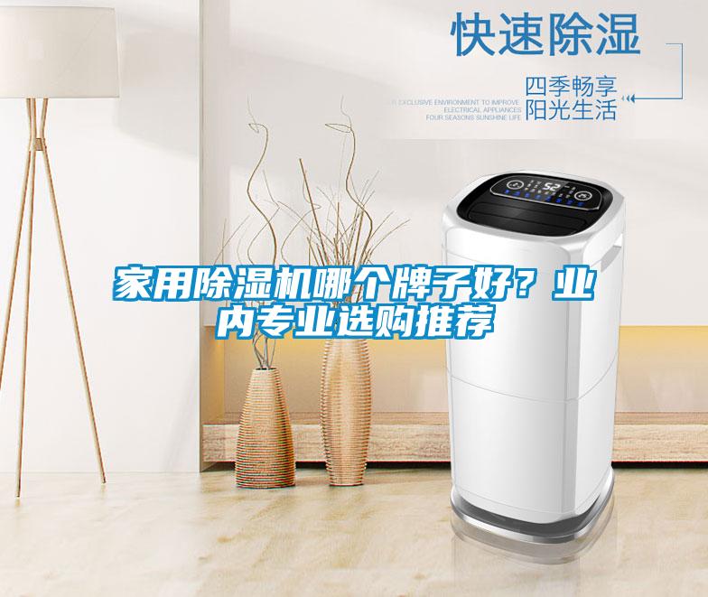 家用除濕機(jī)哪個(gè)牌子好？業(yè)內(nèi)專(zhuān)業(yè)選購(gòu)?fù)扑]