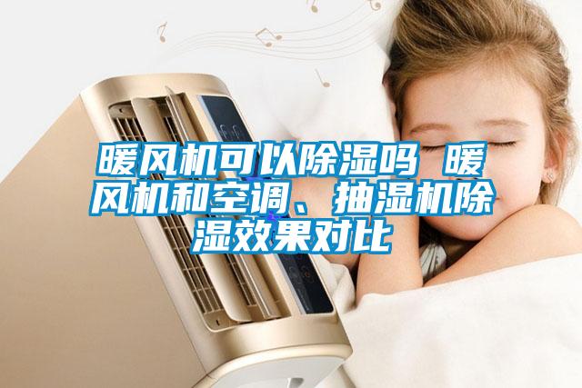 暖風(fēng)機(jī)可以除濕嗎 暖風(fēng)機(jī)和空調(diào)、抽濕機(jī)除濕效果對(duì)比