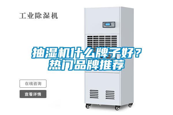 抽濕機什么牌子好？熱門品牌推薦