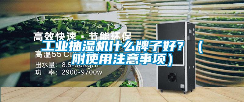 工業(yè)抽濕機什么牌子好？（附使用注意事項）