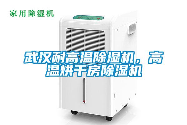 武漢耐高溫除濕機(jī)，高溫烘干房除濕機(jī)