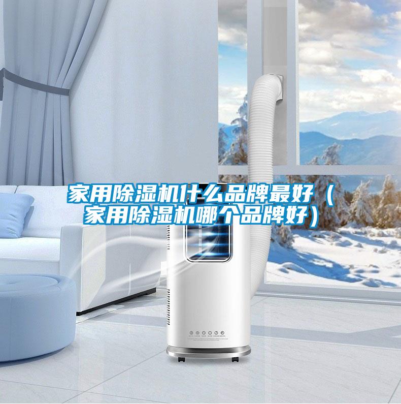 家用除濕機(jī)什么品牌最好（家用除濕機(jī)哪個(gè)品牌好）