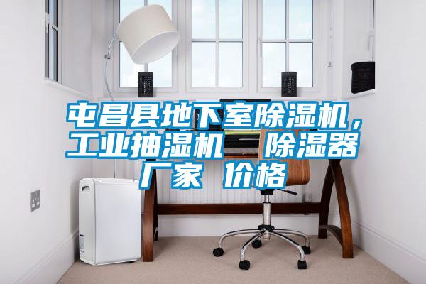 屯昌縣地下室除濕機(jī)，工業(yè)抽濕機(jī)  除濕器廠家 價(jià)格