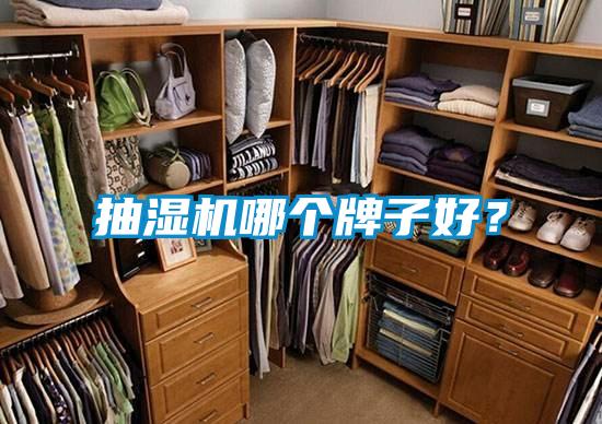 抽濕機(jī)哪個(gè)牌子好？