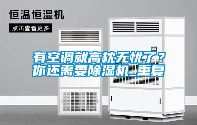 有空調(diào)就高枕無(wú)憂(yōu)了？你還需要除濕機(jī)_重復(fù)