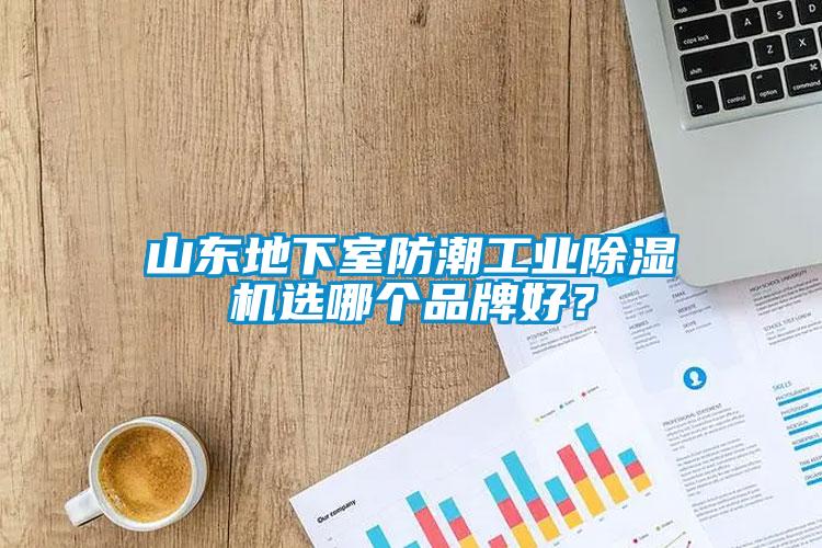 山東地下室防潮工業(yè)除濕機(jī)選哪個品牌好？