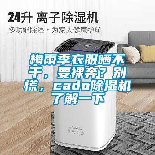 梅雨季衣服曬不干，要裸奔？別慌，cado除濕機了解一下