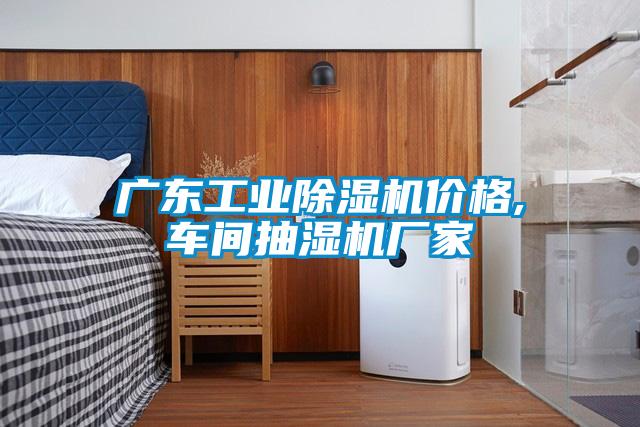 廣東工業(yè)除濕機(jī)價格,車間抽濕機(jī)廠家