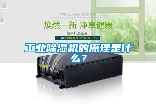 工業(yè)除濕機(jī)的原理是什么？