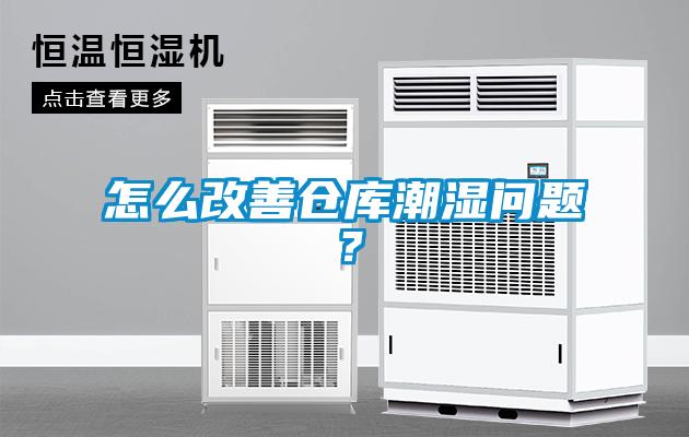怎么改善倉庫潮濕問題？