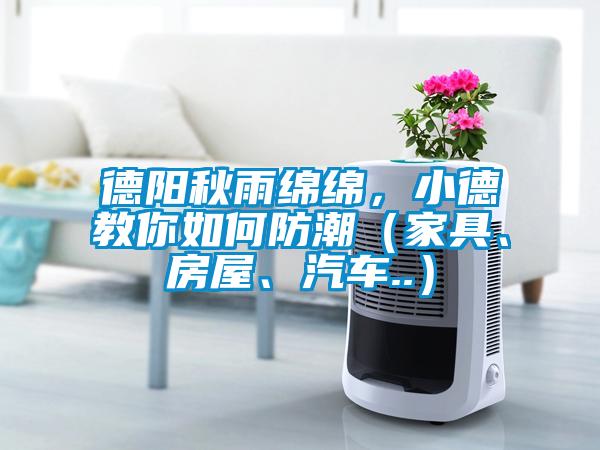 德陽秋雨綿綿，小德教你如何防潮（家具、房屋、汽車..）