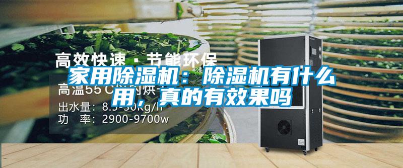 家用除濕機：除濕機有什么用，真的有效果嗎