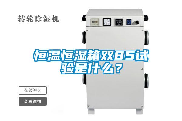 恒溫恒濕箱雙85試驗(yàn)是什么？