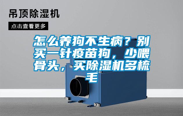 怎么養(yǎng)狗不生?。縿e買一針疫苗狗，少喂骨頭，買除濕機多梳毛