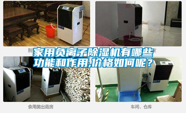 家用負(fù)離子除濕機(jī)有哪些功能和作用,價(jià)格如何呢？