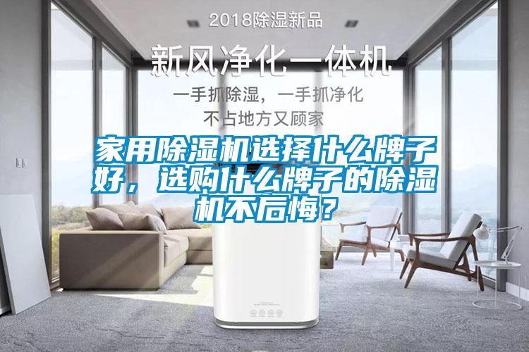 家用除濕機(jī)選擇什么牌子好，選購什么牌子的除濕機(jī)不后悔？