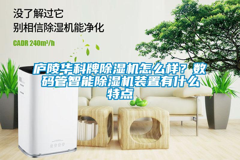 廬陵華科牌除濕機怎么樣？數(shù)碼管智能除濕機裝置有什么特點
