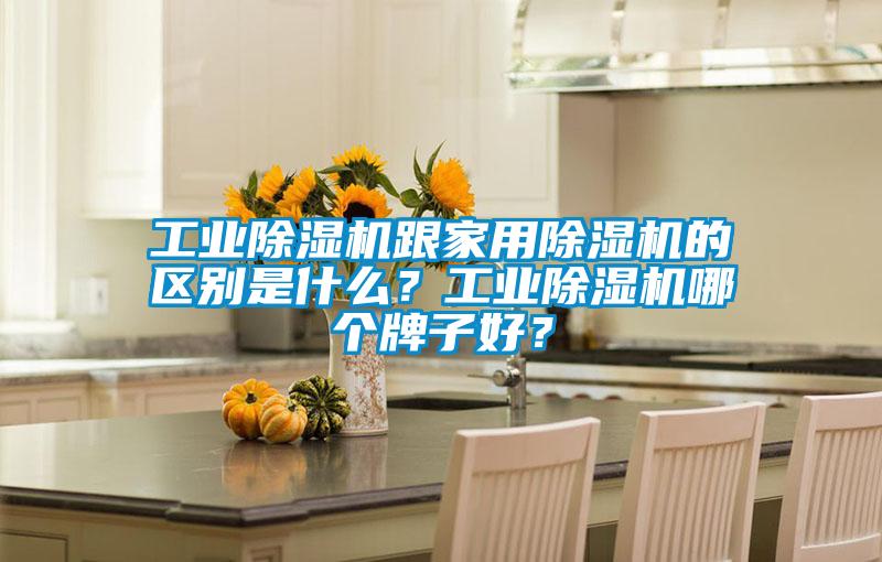 工業(yè)除濕機跟家用除濕機的區(qū)別是什么？工業(yè)除濕機哪個牌子好？
