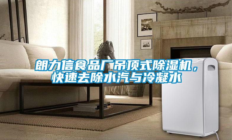 朗力信食品廠吊頂式除濕機(jī)，快速去除水汽與冷凝水