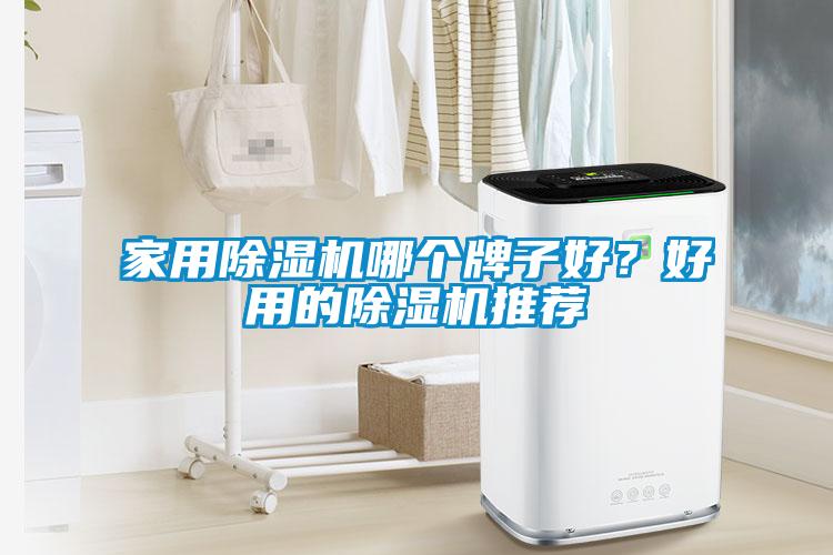 家用除濕機哪個牌子好？好用的除濕機推薦