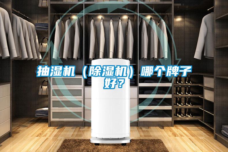 抽濕機(jī)（除濕機(jī)）哪個牌子好？