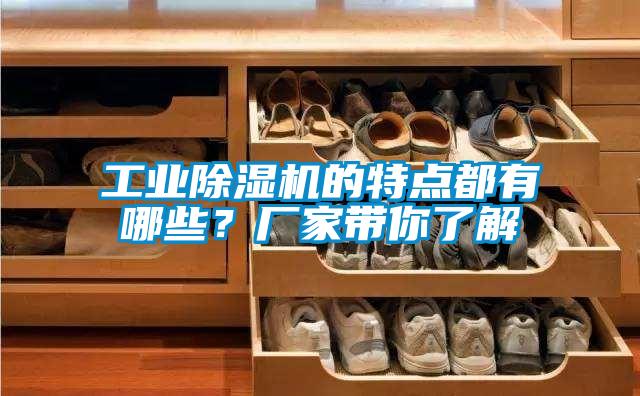 工業(yè)除濕機(jī)的特點(diǎn)都有哪些？廠家?guī)懔私?></div>
								<div   id=