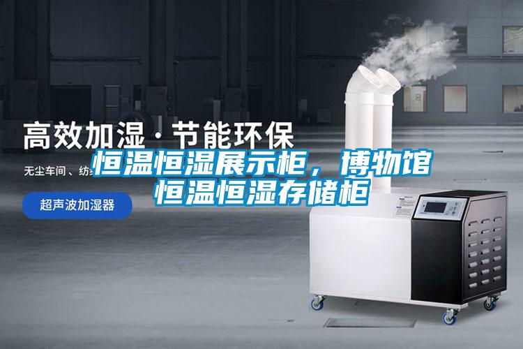 恒溫恒濕展示柜，博物館恒溫恒濕存儲柜
