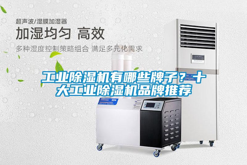 工業(yè)除濕機有哪些牌子？十大工業(yè)除濕機品牌推薦