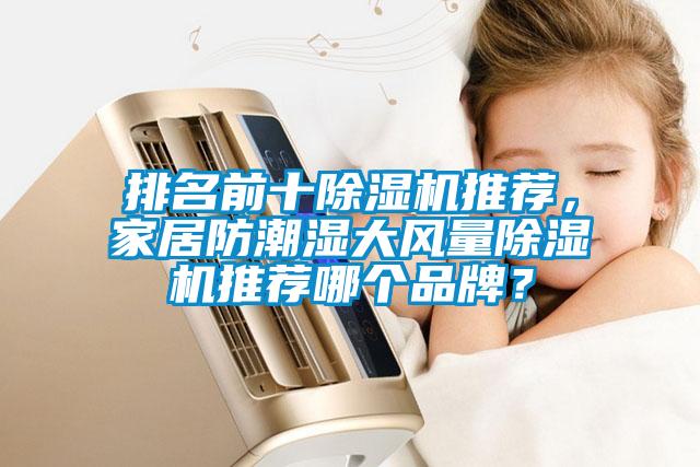 排名前十除濕機(jī)推薦，家居防潮濕大風(fēng)量除濕機(jī)推薦哪個(gè)品牌？