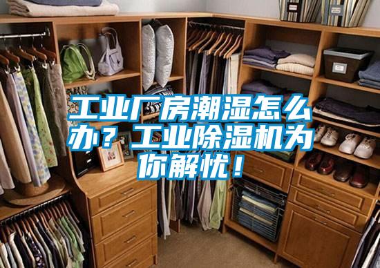 工業(yè)廠房潮濕怎么辦？工業(yè)除濕機為你解憂！