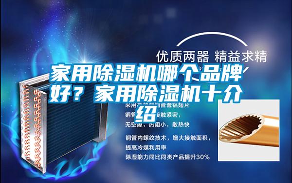 家用除濕機(jī)哪個(gè)品牌好？家用除濕機(jī)十介紹