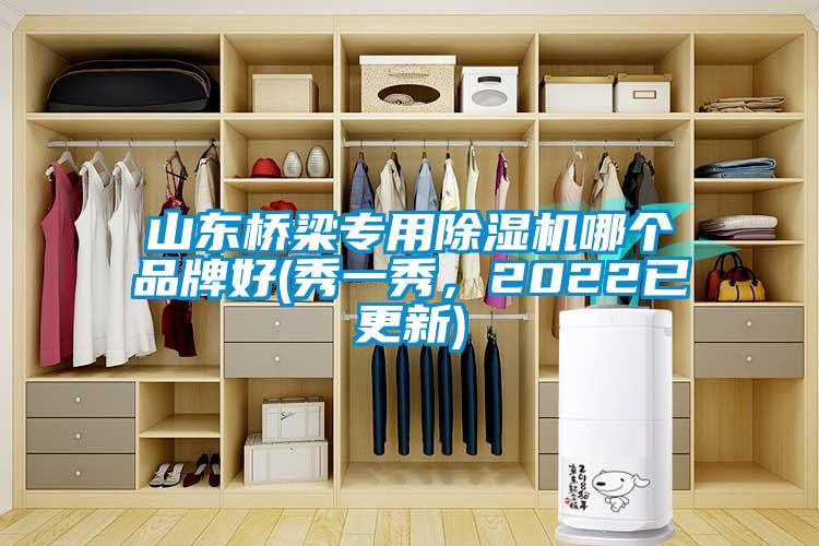 山東橋梁專用除濕機哪個品牌好(秀一秀，2022已更新)
