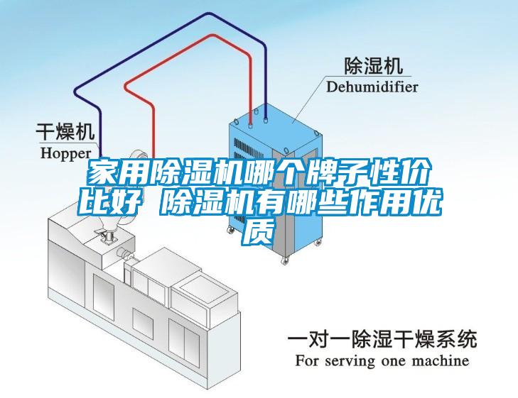 家用除濕機(jī)哪個(gè)牌子性?xún)r(jià)比好 除濕機(jī)有哪些作用優(yōu)質(zhì)