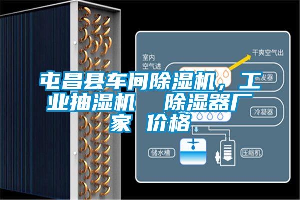 屯昌縣車間除濕機(jī)，工業(yè)抽濕機(jī)  除濕器廠家 價(jià)格