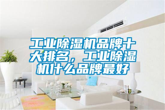 工業(yè)除濕機(jī)品牌十大排名，工業(yè)除濕機(jī)什么品牌最好