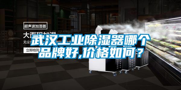 武漢工業(yè)除濕器哪個(gè)品牌好,價(jià)格如何？