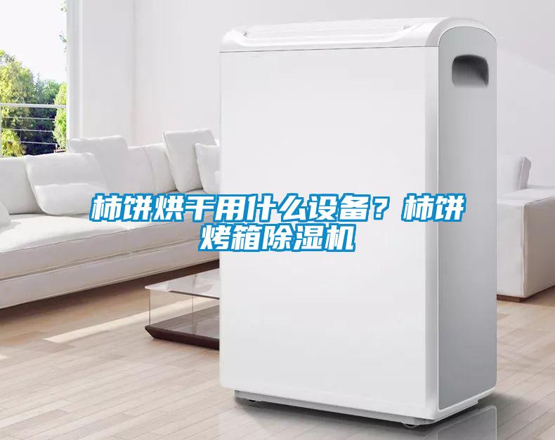柿餅烘干用什么設備？柿餅烤箱除濕機