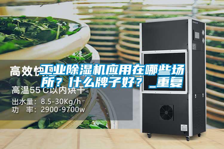 工業(yè)除濕機應(yīng)用在哪些場所？什么牌子好？_重復(fù)