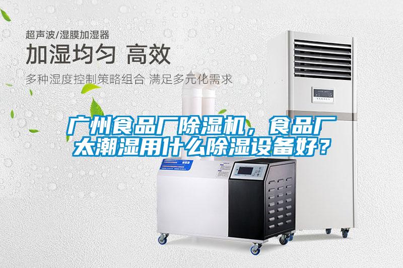 廣州食品廠除濕機，食品廠太潮濕用什么除濕設備好？